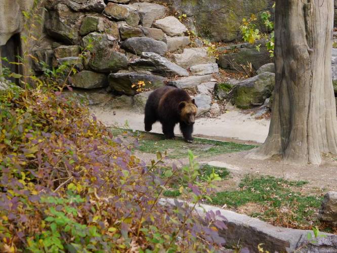 USA_2011-11-21 15-29-06